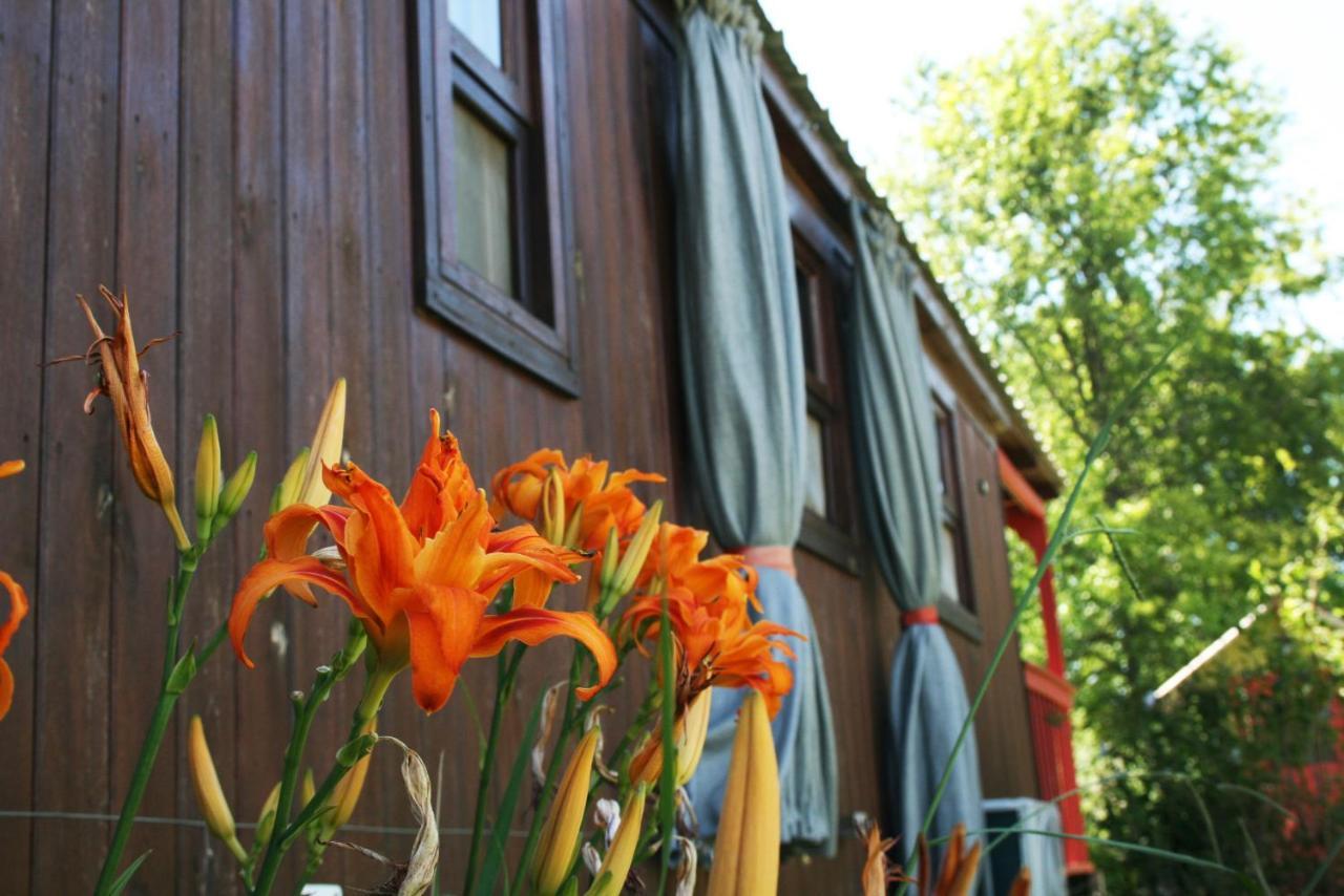 El Sendero - Gueiraldes B&B 산안토니오데아레코 외부 사진